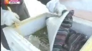 Дауншифтинг