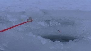 Зимняя рыбалка. Ловля крупного карася на мормышку