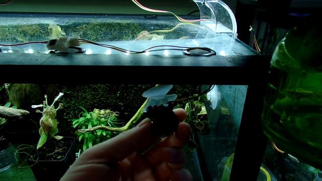 My experience with moss (UPDATE in comments)