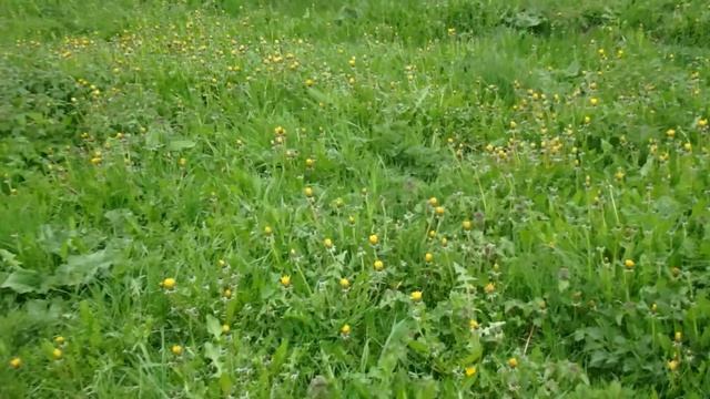 Olympus Tough TG-860 смотреть онлайн