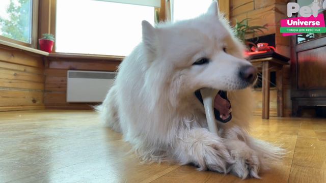 PU8003B Игрушка для собак Pet Universe кость жевательная со вкусом говядины, 18х3,5х4,5 см смотреть онлайн