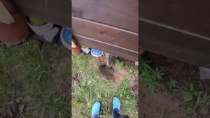 Винтовые сваи спустя 7 лет. Когда сгниют сваи и дом рухнет?