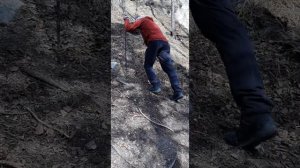 Мастер-класс "Работа с треккинговыми палками в гору"