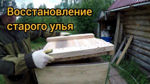 Восстанавливаю старый улей
