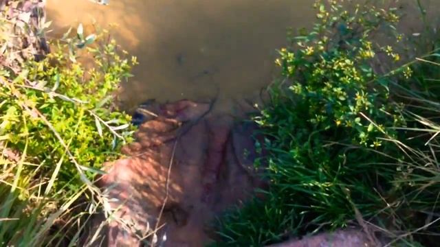 Едем на дачу. Самолет. Река. Отдых. We go to the country. Aircraft. River. Rest. смотреть онлайн