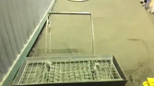 Повторная затирка однороторной затирочной машиной Wacker Neuson CT36-8A смотреть онлайн