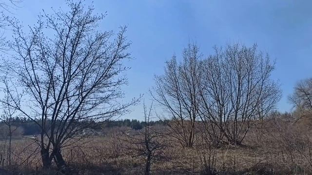 26 марта НИКИФОРОВ ДЕНЬ . народные приметы и традиции