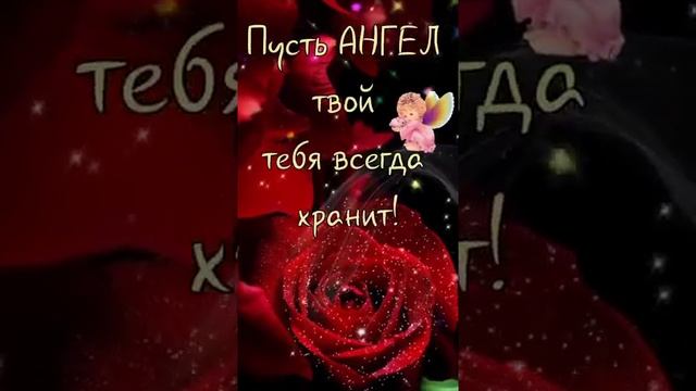 САМЫЕ НУЖНЫЕ СЛОВА /ПОЗДРАВЛЕНИЕ С ДНЕМ РОЖДЕНИЯ #shorts #видеооткрытка #сднемрождения