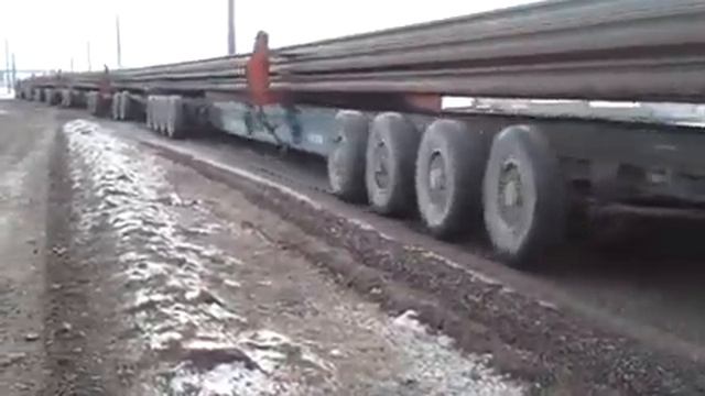 это какая у него категория😱