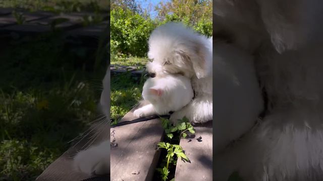 Странная дружба ❤️