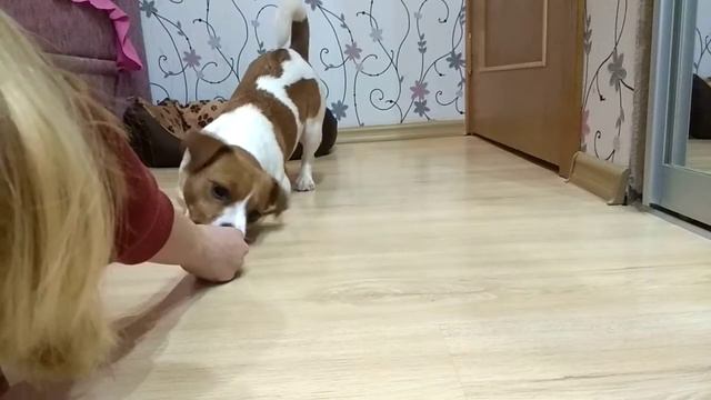 КС Джессика+ описание смотреть онлайн