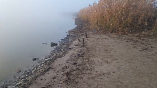 Рыбалка ставрополь(6) смотреть онлайн