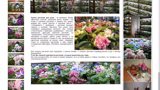 Бесплатный аудит сайта fialki.of.by смотреть онлайн