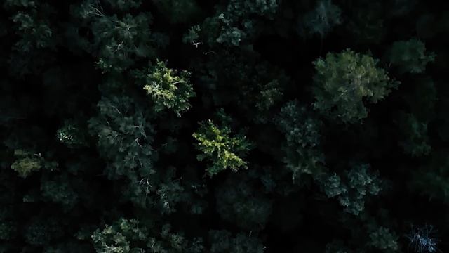 Odc. 77 - Missing 411 PL - Tajemnicze Zaginięcia Młodych Ludzi w Miastach - Część IV смотреть онлайн