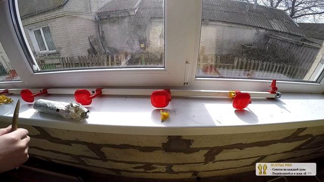 Сборка Ниппельные поилки для кур своими руками Ниппельные поилки для перепелов - ZOLOTYERUKI