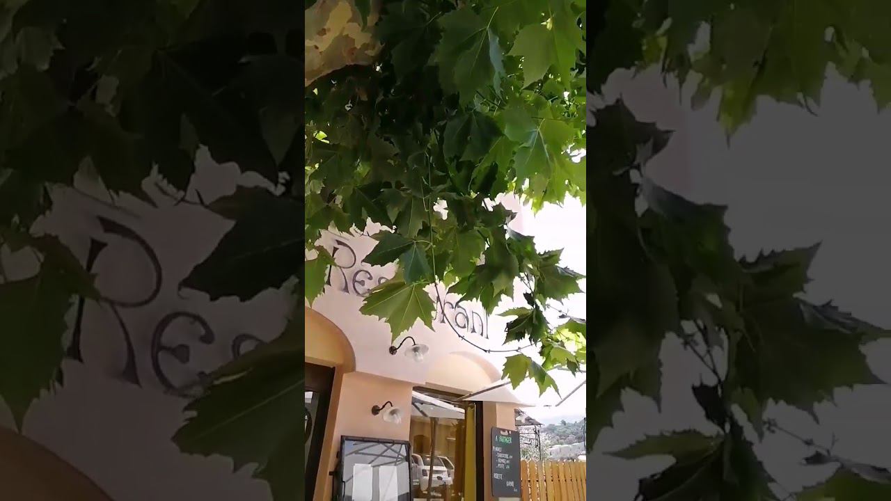 У настоящих корсиканцев