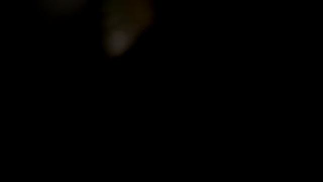 как заботиться о маленьких котятах смотреть онлайн