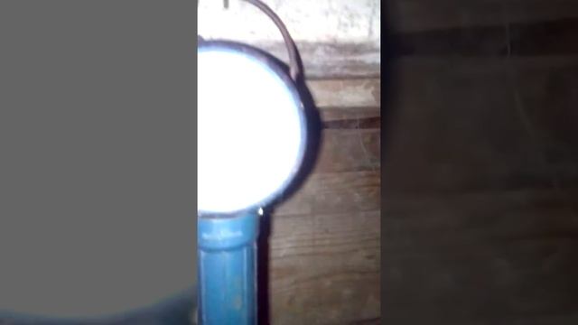 Взвешиваниє 1 месячных крольчат(вес 35-дневных крольчат)НЗК+Бабочка смотреть онлайн