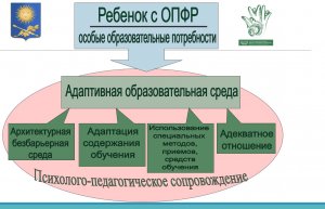 Вебинар по теме: "Анализ методических дефицитов по теме Особые образовательные потребности"