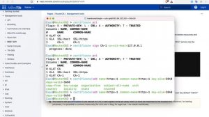 Network Automation & Introduction to Postman