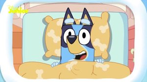 Bluey | Learn About Feelings With Bluey ? | Disney Junior UK