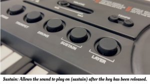 Casio - Casiotone Mini Keyboard SA-81 Unboxing Video