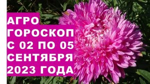 Агрогороскоп с 02 по 05 сентября 2023 года. Agrohoroscope from 02 to 05 September 2023