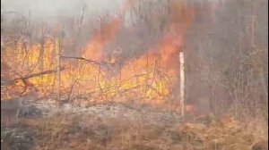 Пожары. Причины и последствия