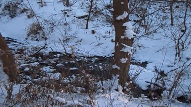 САМВЕЛ ПРИСМАТРИВАЕТ КВАРТИРЫ ОДИНОКИХ ПЕНСИОНЕРОК смотреть онлайн