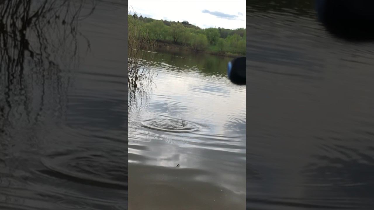 ВЫТАЩИЛ из КУСТОВ ТРОФЕЙ ФИДЕР ВЕСНОЙ на РЕКЕ смотреть онлайн