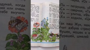 Стихотворение для детей «Господин учитель Жук» К. Льдов. Читаем вслух