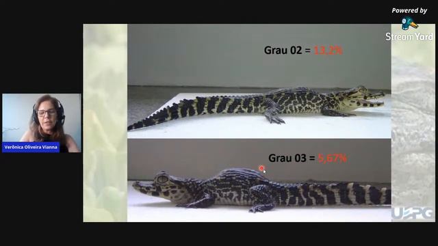 IMPORTÂNCIA DA DIVERSIFICAÇÃO DA DIETA EM CROCODILIANOS смотреть онлайн