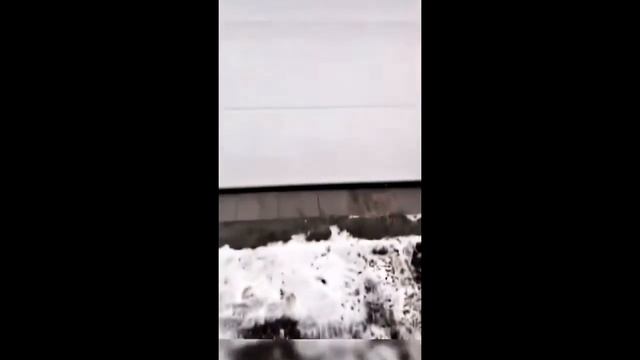В погоне за ролсом Дубровский Синдикат  кто же победил ??? Миша или Ваня ??