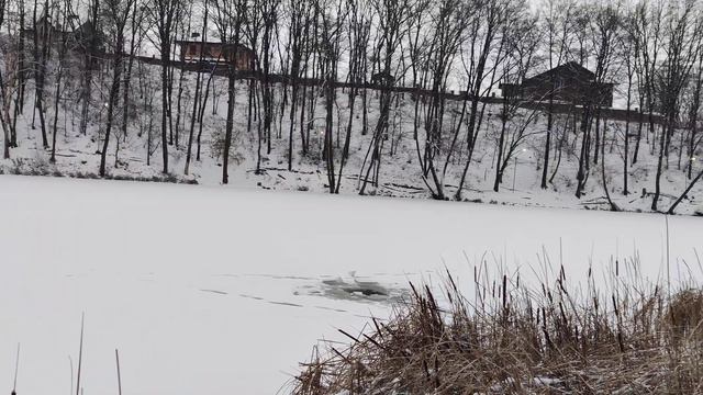 #Зима ❄️и #Природа - ☃️ Лёд на Озере Верхнее в Крюковщине и Снег в Характер Парке 4k #Winter Nature