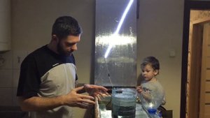 Фловер Хорн или Flowerhorn. Моя новая рыба