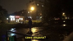 В Казани во время грозы упало дерево