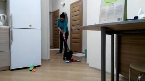 Альф моет пол :-)