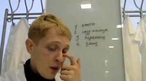 паукообразные