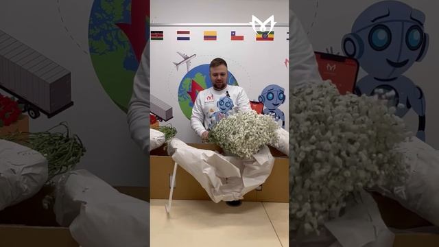 Гипсофила из Кении | Обзор плантации SUBATI распаковка коробки гипсофилы смотреть онлайн