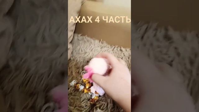 дом аксолотля 4 часть. #реки#2024#аксолотль#домик.