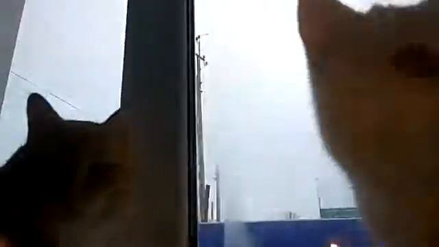 Мой ВК будет стрим в 17 00 по мск смотреть онлайн