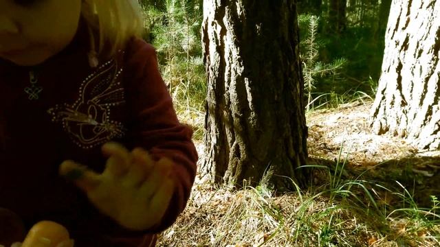 ☀ Ищем Киндер сюрпризы в лесу ☀ Going to the forest to spend night there in tents. смотреть онлайн