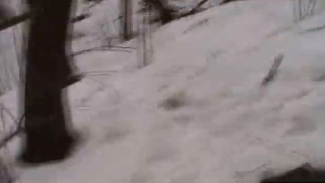 Кленовый сок, кленовый сироп, остролистный клен смотреть онлайн