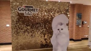 Фотозона Gourmet Purina с применением бликсистемы Airsystem