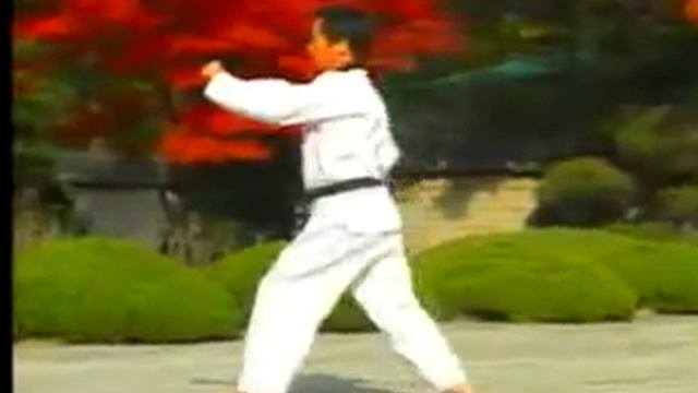 04 - Taegeuk Sah Jang