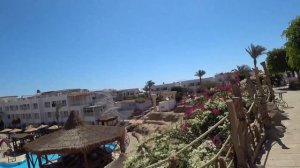 ?? Sharming inn обзор отеля 2021 | февраль-март 2021 | Египет | Шарм | Хадаба | 6 серия