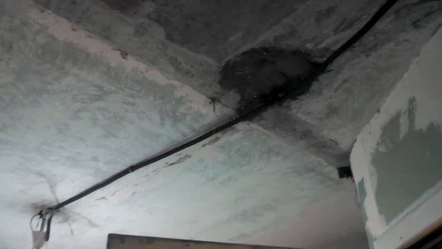 Когда Вас затопили соседи