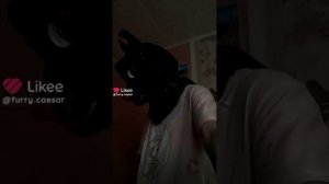 фурри из лайка/furry ftom likee