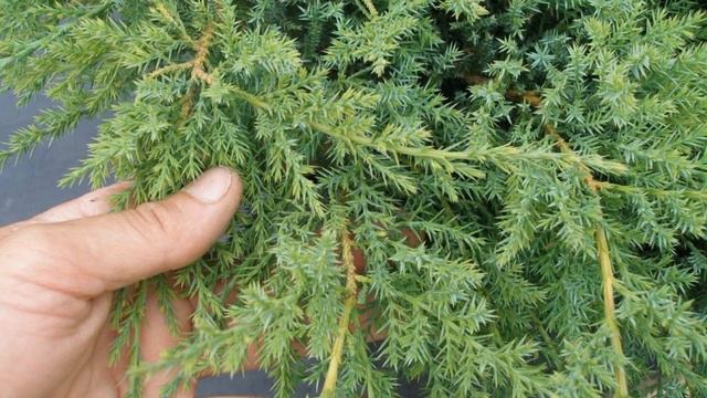 Масадан қалай құтылуға болады 😱Тез көріңіз! смотреть онлайн