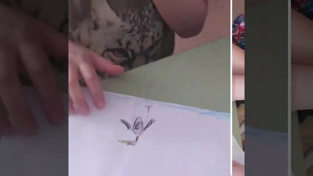 Животные Севера, д/сад 84, группа № 6 смотреть онлайн